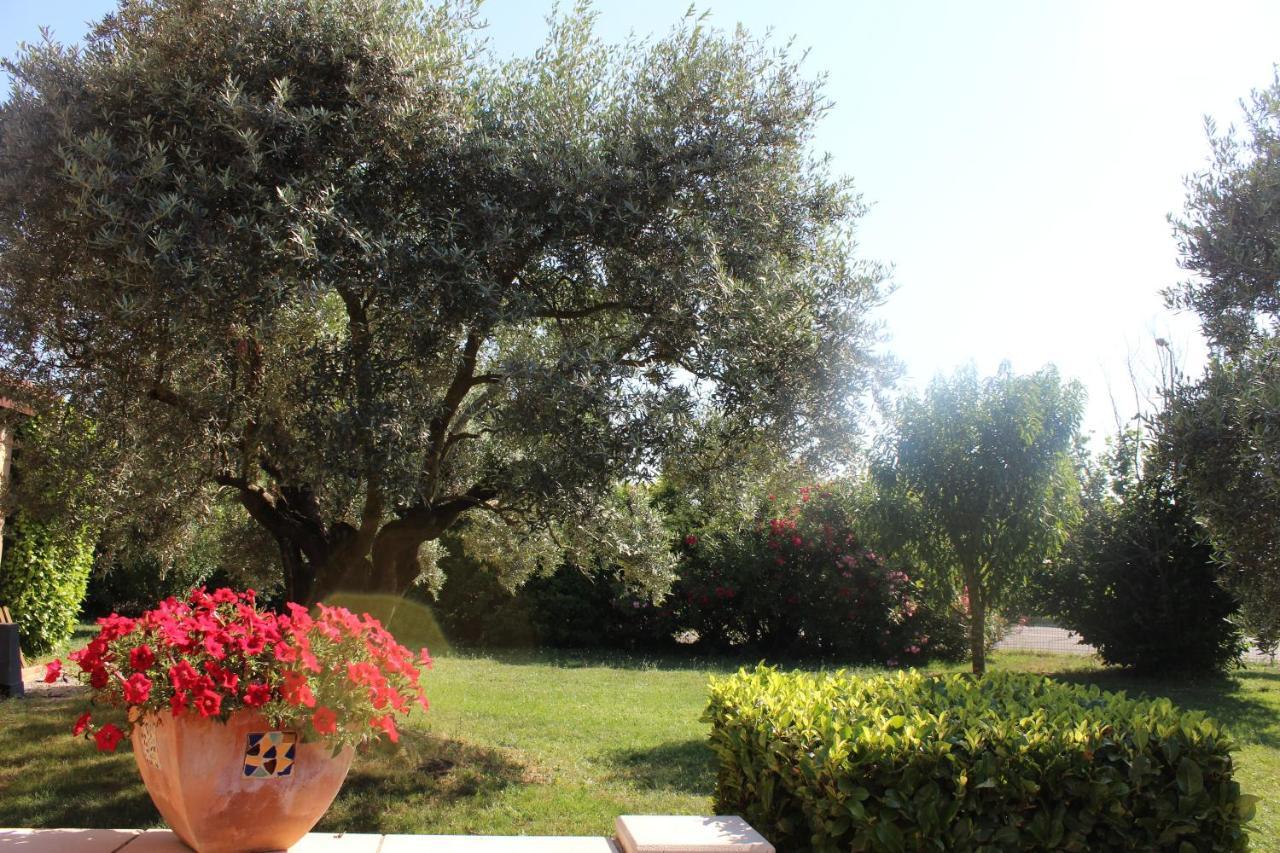 Logis La Grande Bastide Hotel Oraison Exterior foto